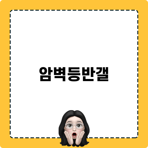 암벽등반갤 정보