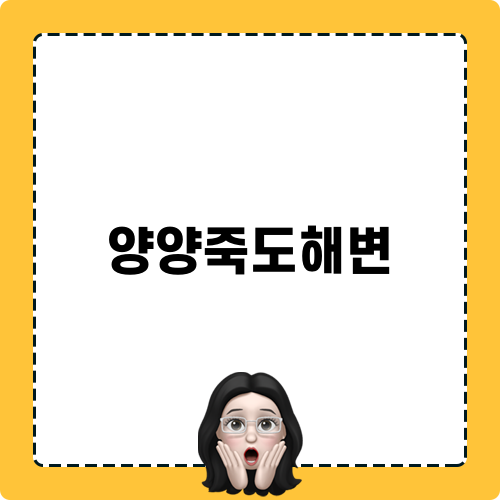 양양 죽도해변 서핑강습: 완벽한 여름 휴가 체험