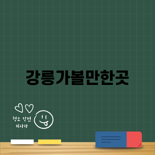 강릉가볼만한곳 핫플 모래시계 공원, 정동진해수욕장, 하슬라아트월드