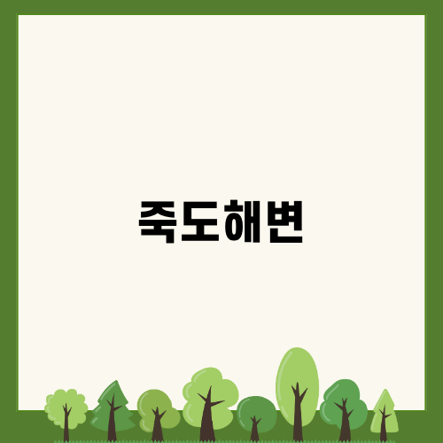 양양 죽도해변 서핑강습 블로그