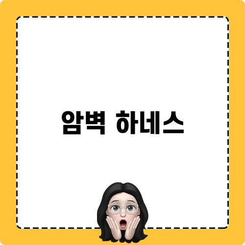 암벽 하네스 추천