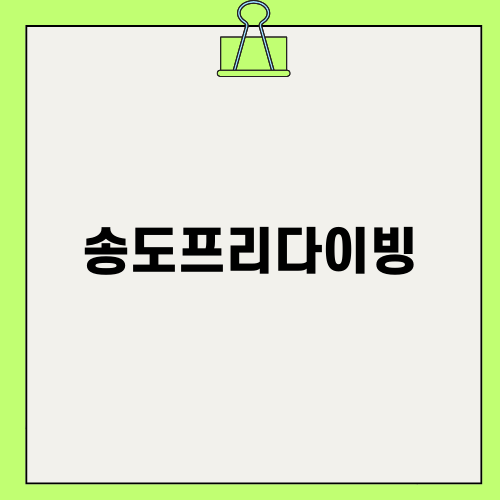 송도프리다이빙 자격증 도전기