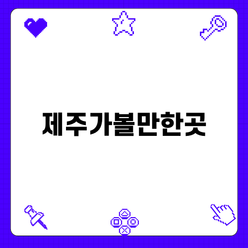 제주가볼만한곳: 9.81파크 액티비티 필수 코스