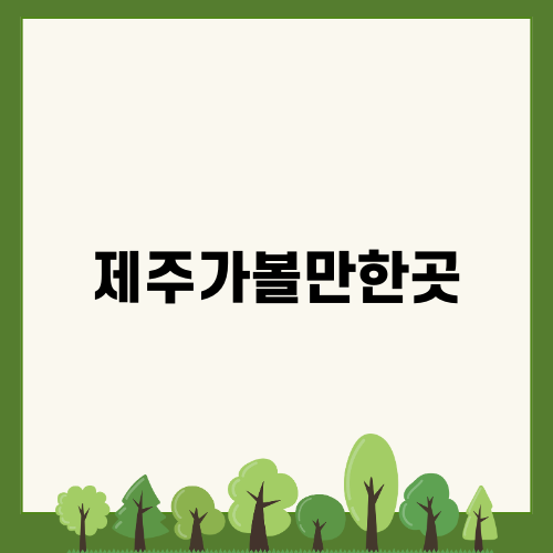 제주가볼만한곳 9.81파크