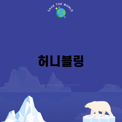 허니블링과 나의 변화