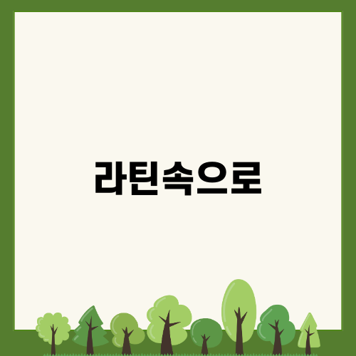 라틴속으로 홍대에서 만나는 살사와 바차타의 매력