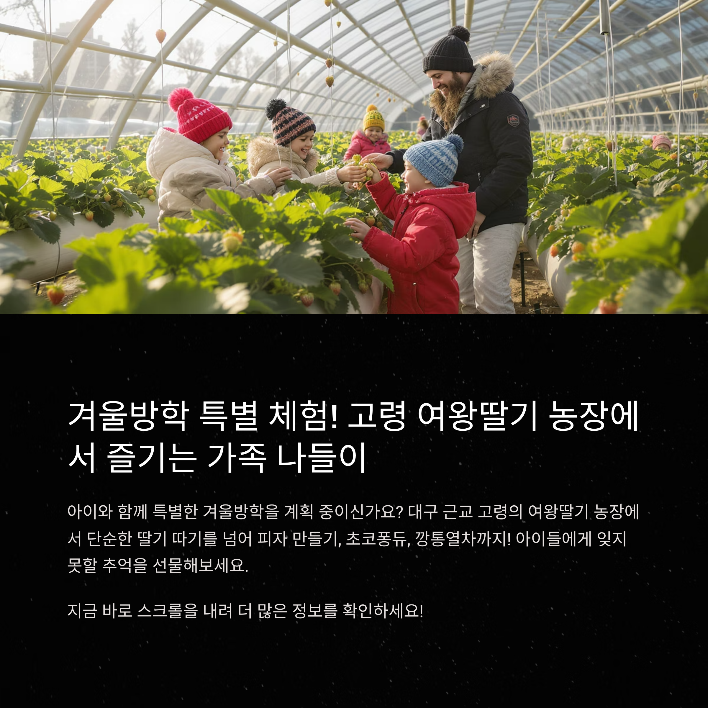 어린이체험학습의 매력 고령 딸기 농장