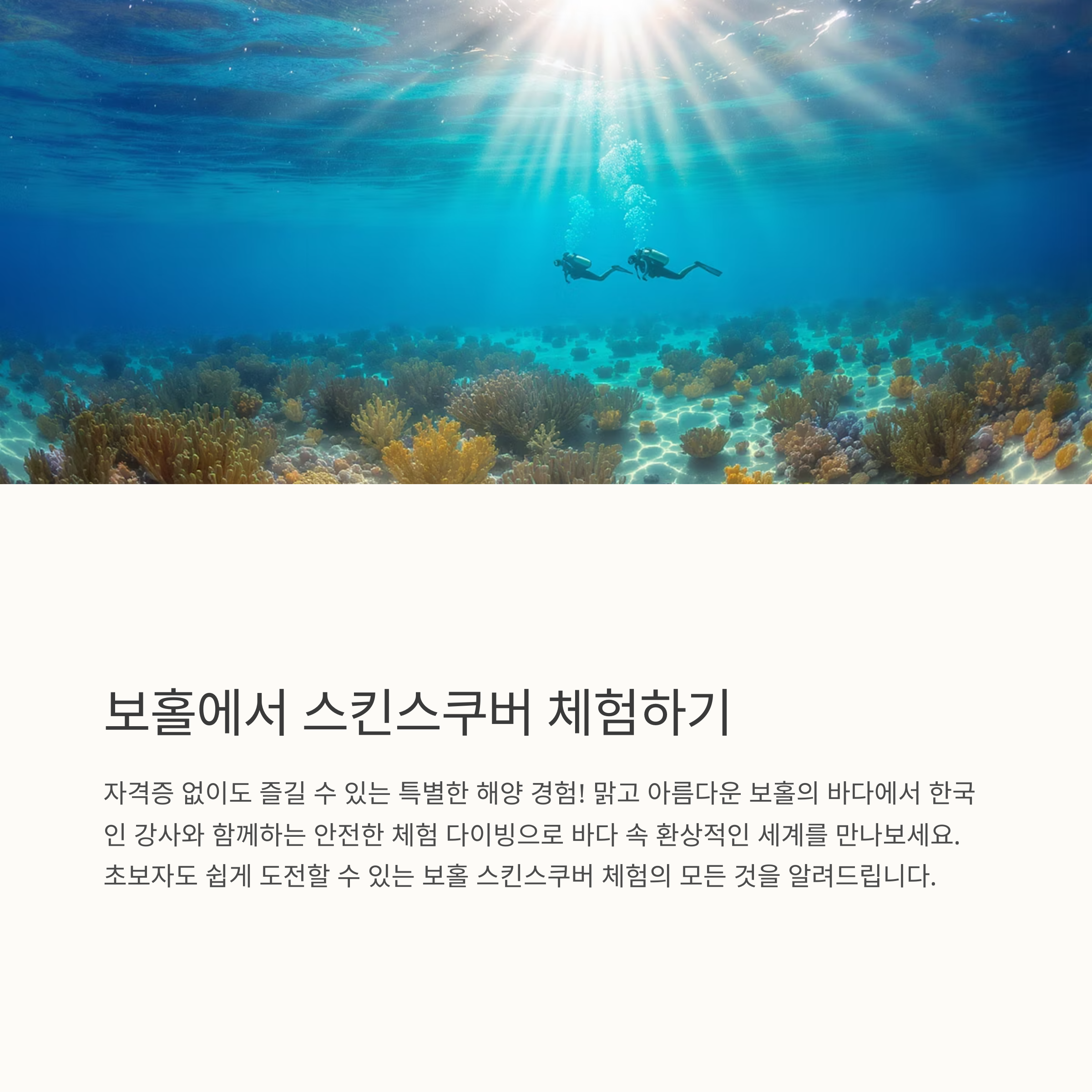 스킨스쿠버 체험의 모든 것
