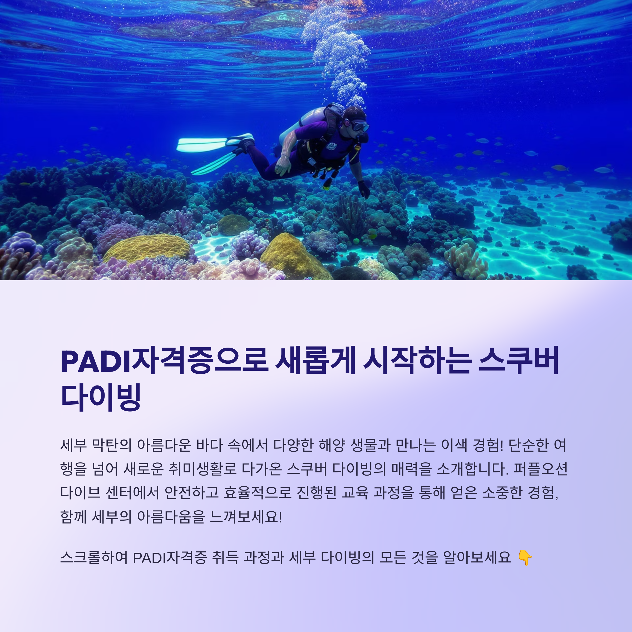 PADI자격증
